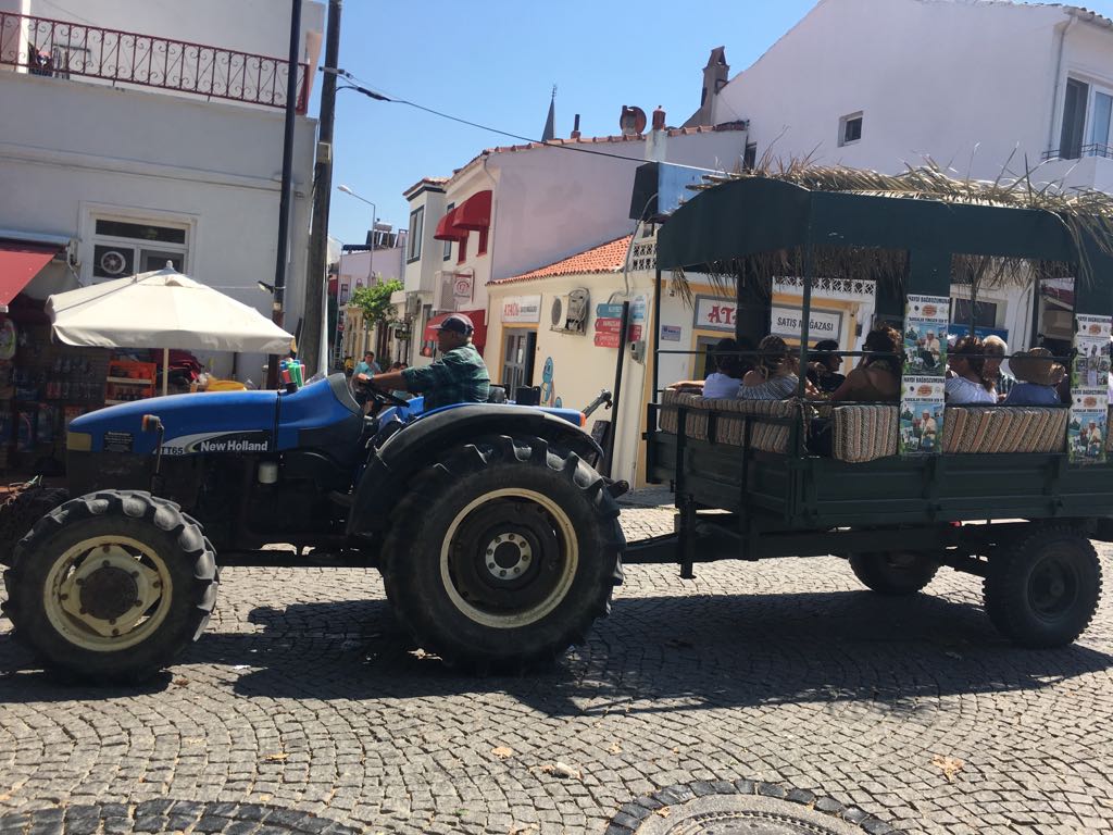 bozcaada-bagbozumu-festivali