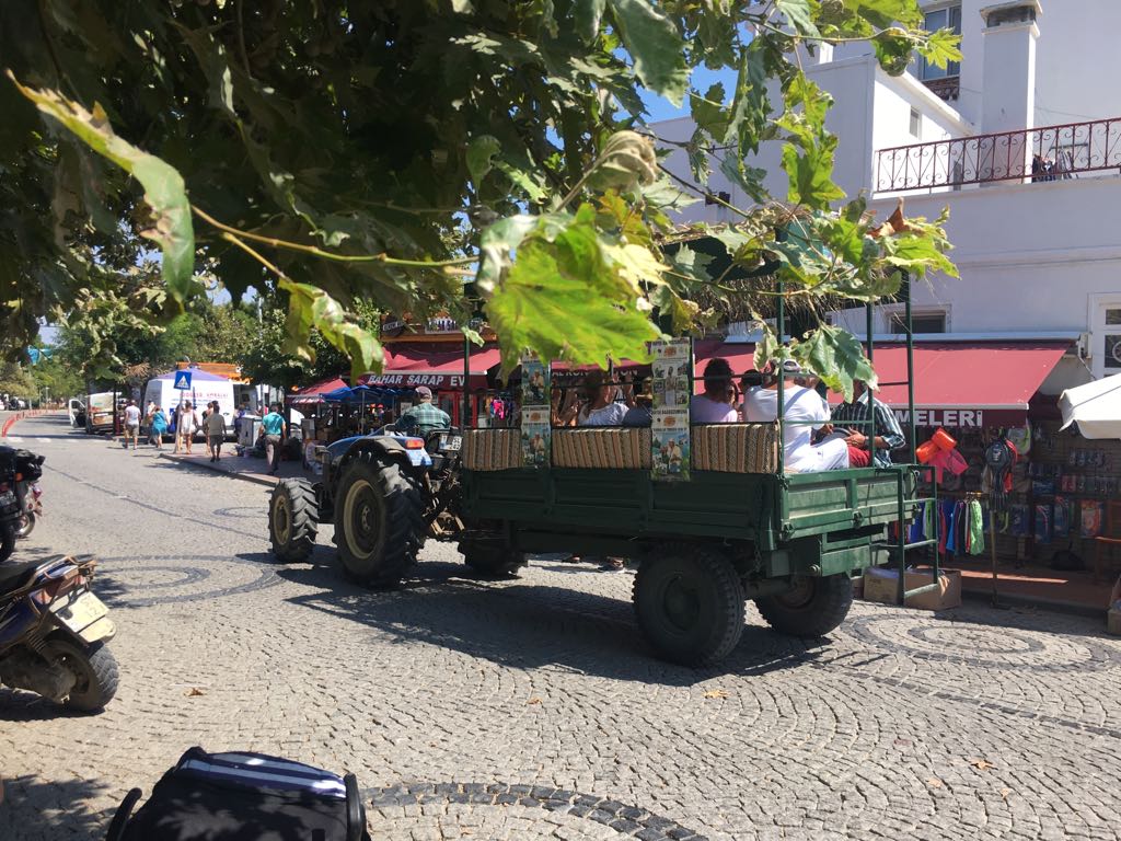 bozcaada-bagbozumu